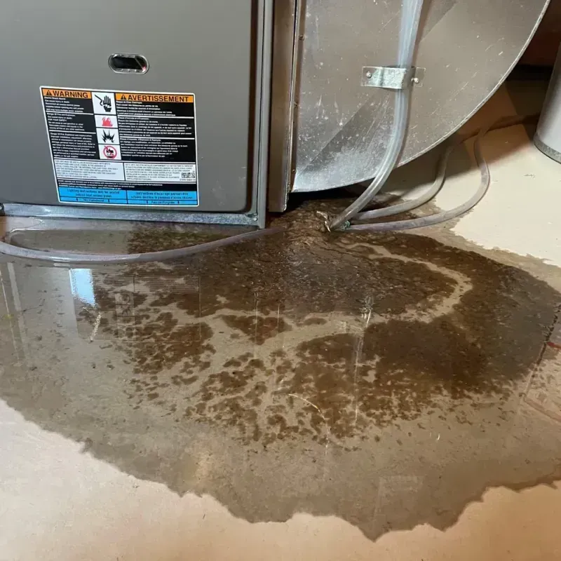 Appliance Leak Cleanup in Rio Hondo, TX